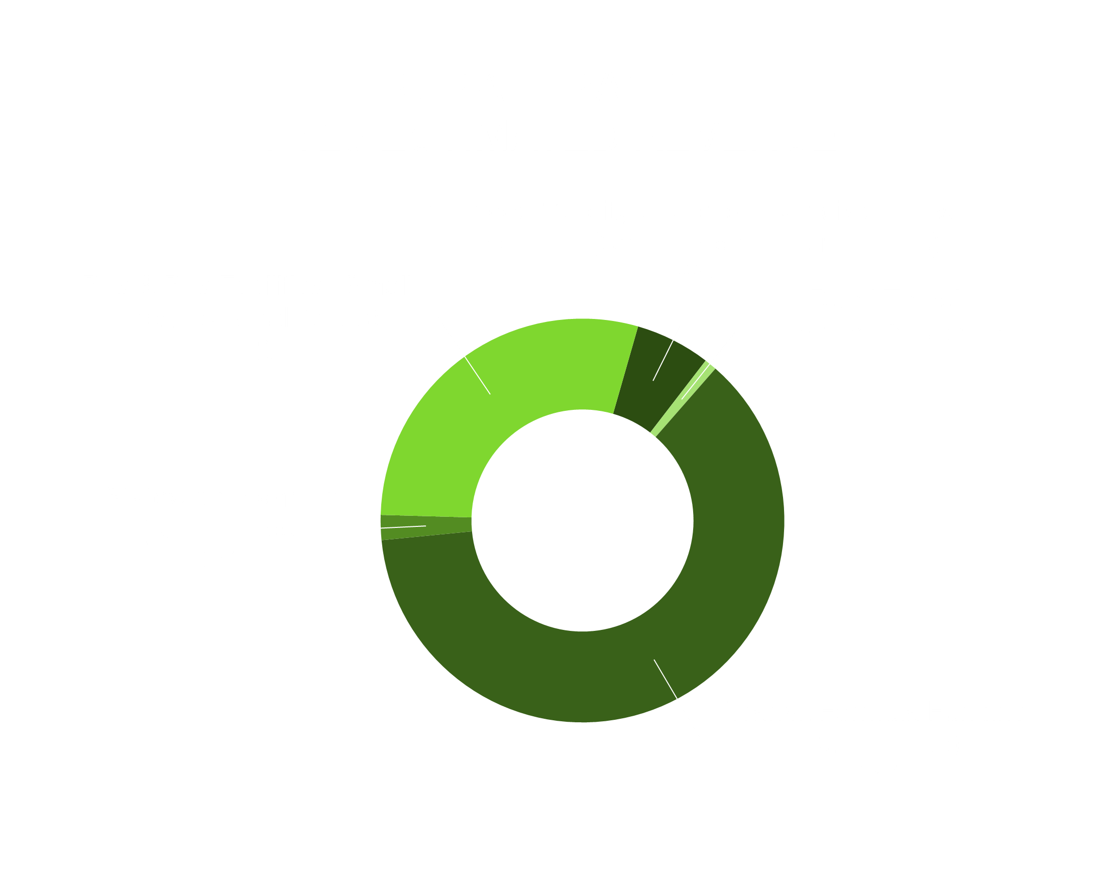 Rural Transit Estimated Revenue Fiscal Year 2020 Chart shows Transit Formula Funding in rural areas 61%, Bus and Bus Facilities in small urban and rural areas 29%, Enhanced Mobility of Seniors and Individuals with Disabilities from small urban and rural areas 6%, 1% Rural Transit Technical Assistance, and Statewid Planning in rural areas 2%.